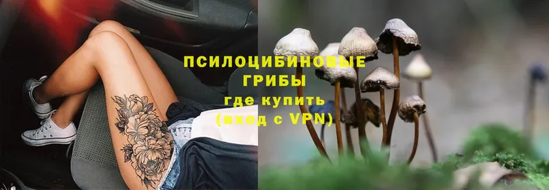 Галлюциногенные грибы MAGIC MUSHROOMS  Шумерля 